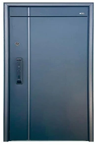 Option porte 1